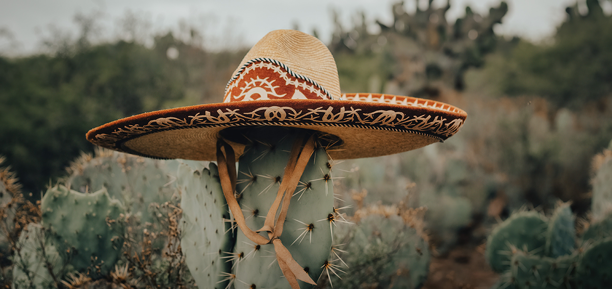 sombrero hat on a cactus in a texas landscape